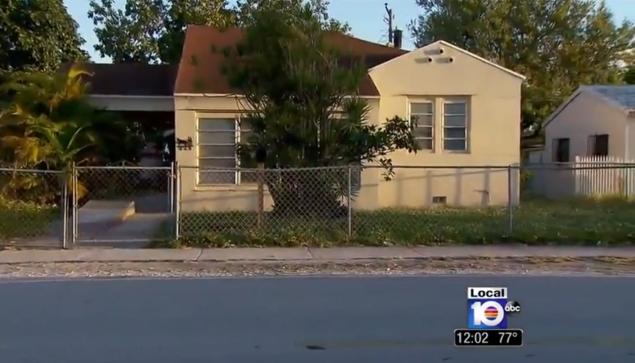 shabba shot in head survives