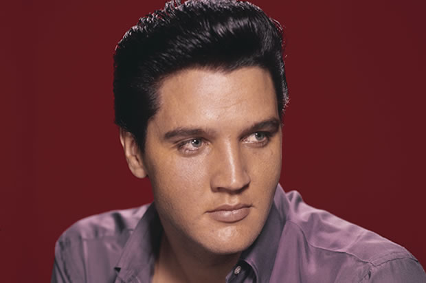 elvis