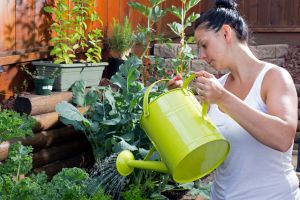 Gardening