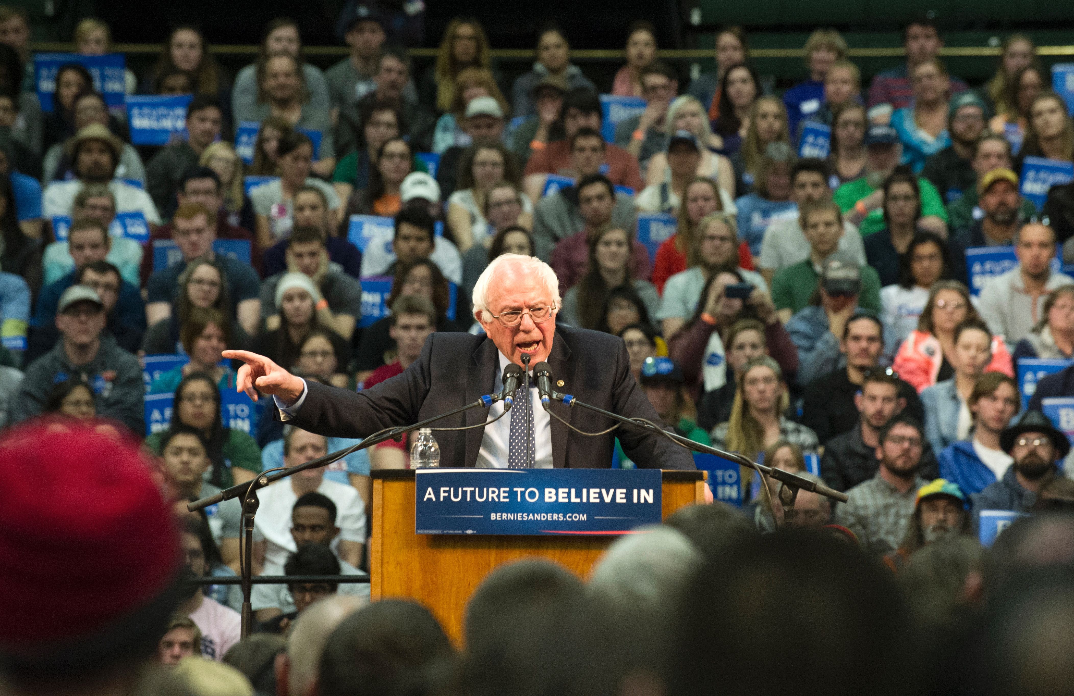 US-VOTE-DEMOCRATS-SANDERS-politics