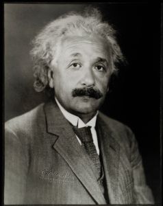 Albert Einstein Man Famous Person Genius