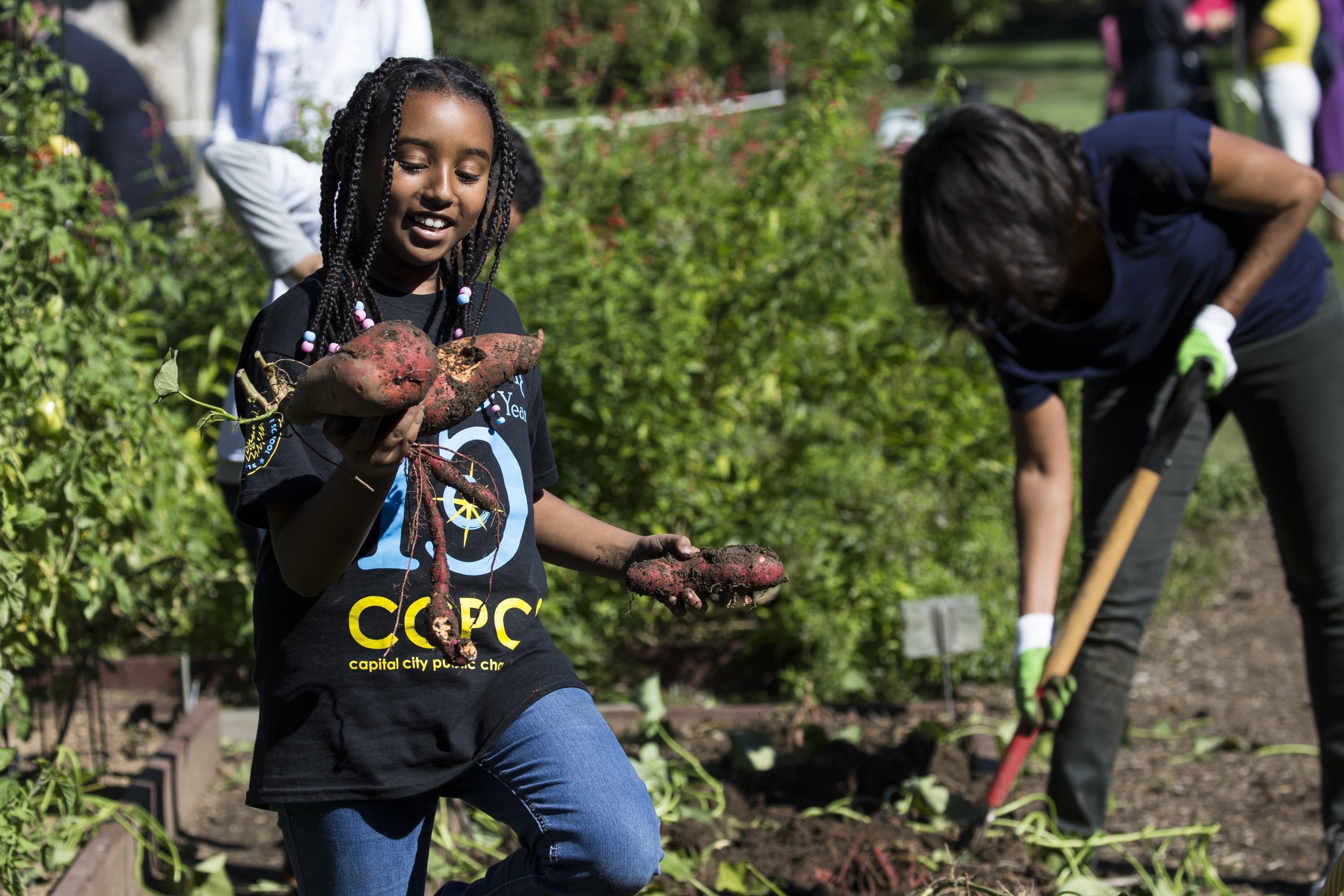 2015 White House Kitchen Garden Harvest with First Lady Michelle Obama