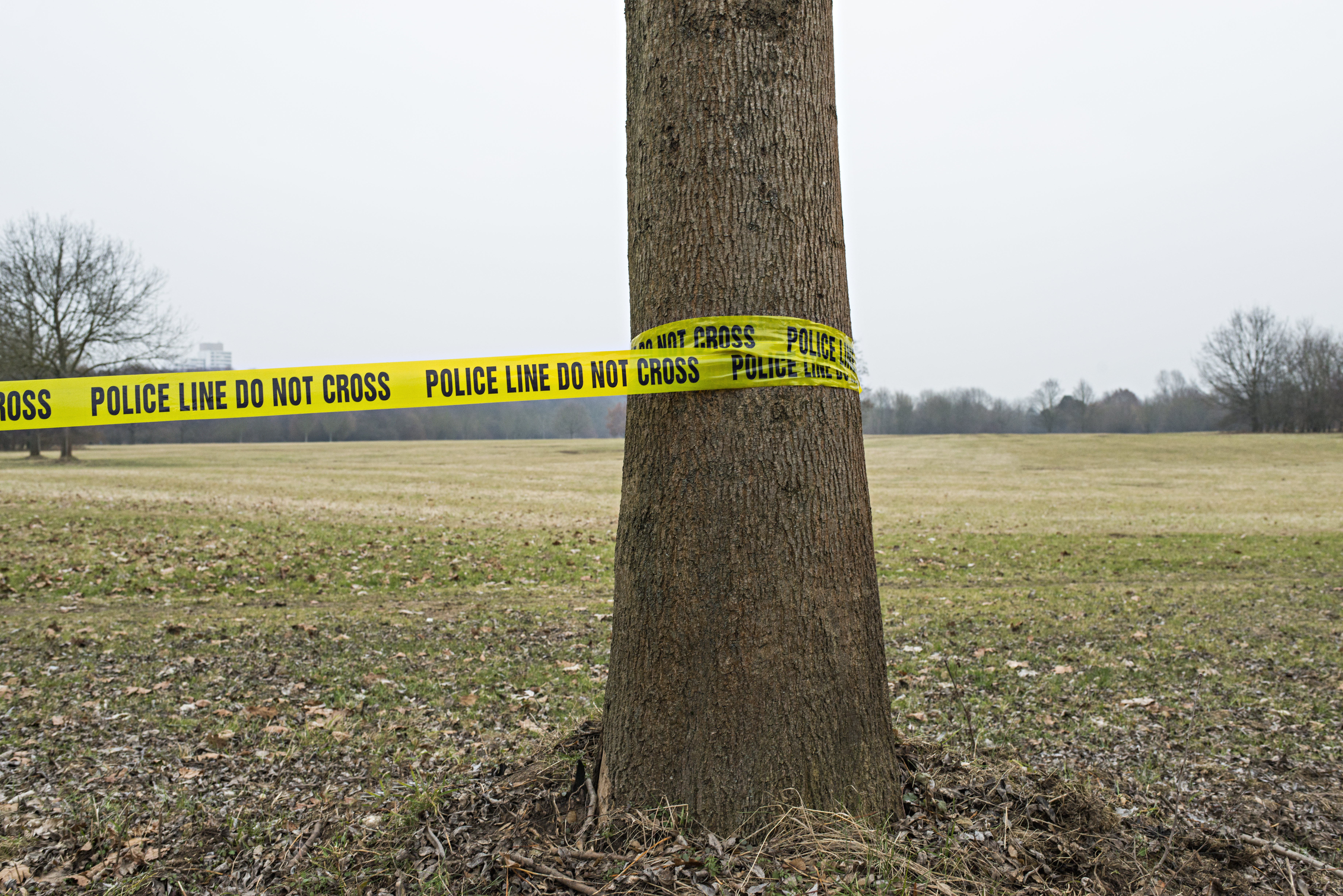 policeline do not cros