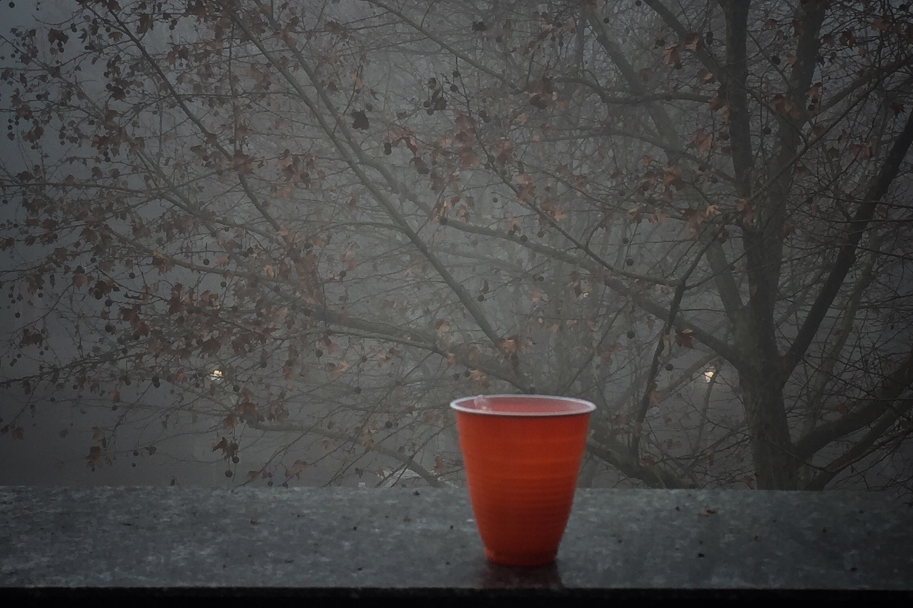 Close-Up Of Cup On Railing