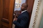 Senate Policy Luncheons