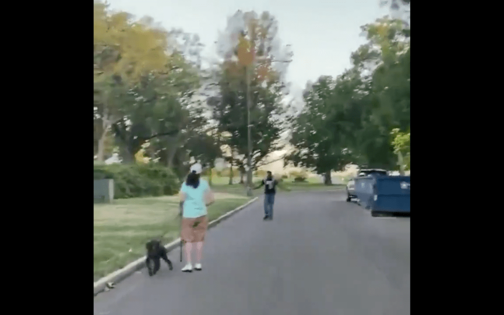 Neighborhood Karen confronts innocent black man