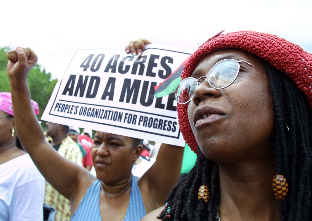 Louis Farrakhan Speaks at Slave Reparations Rally