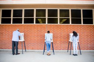 People Voting in a Government Election