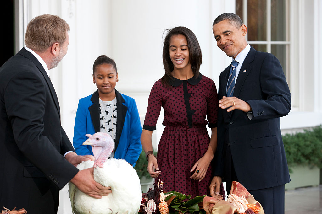 President Obama Pardons National Turkey