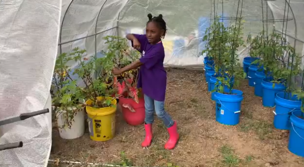 Kendall Rae Johnson black farmer