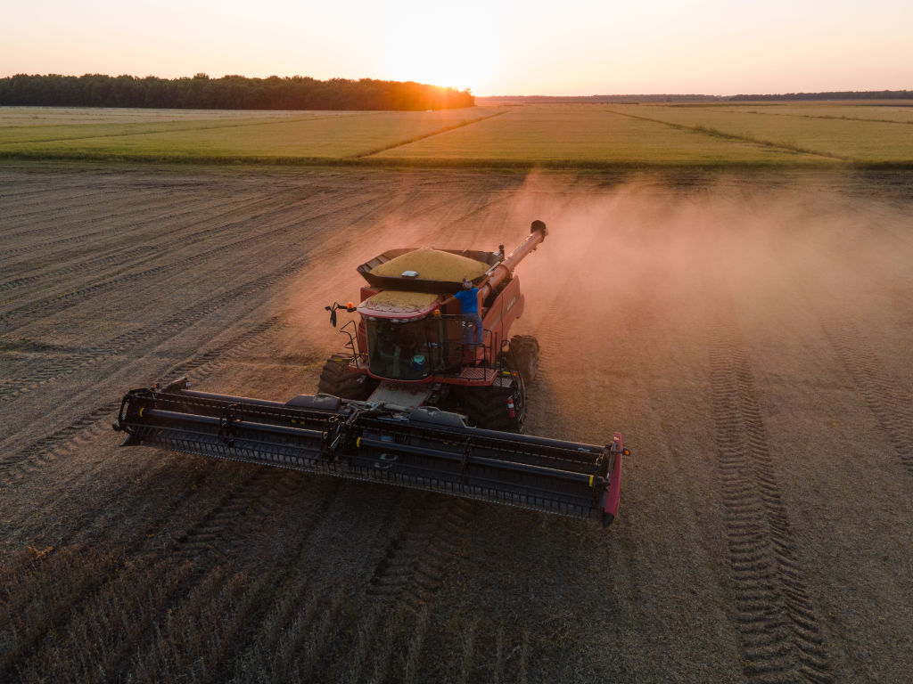 A Soy Harvest Ahead Of USDA Stockpile Estimates