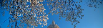Missouri State Capitol Spring