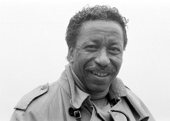 Portrait Of Gordon Parks