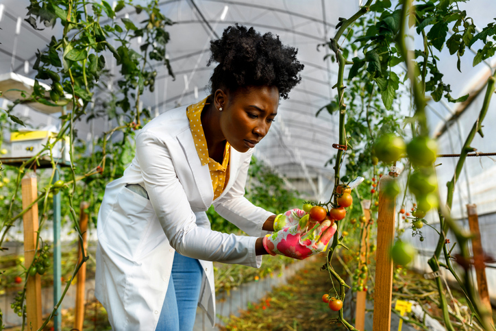 Black Farmers