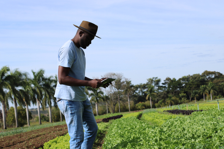 Black Farmers
