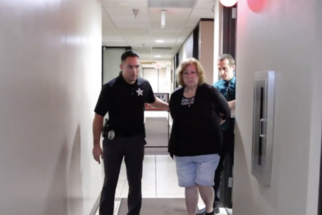 Ajike "AJ" Owens, Susan Lorincz, shooting, The Perfect Neighbor, Stand Your ground