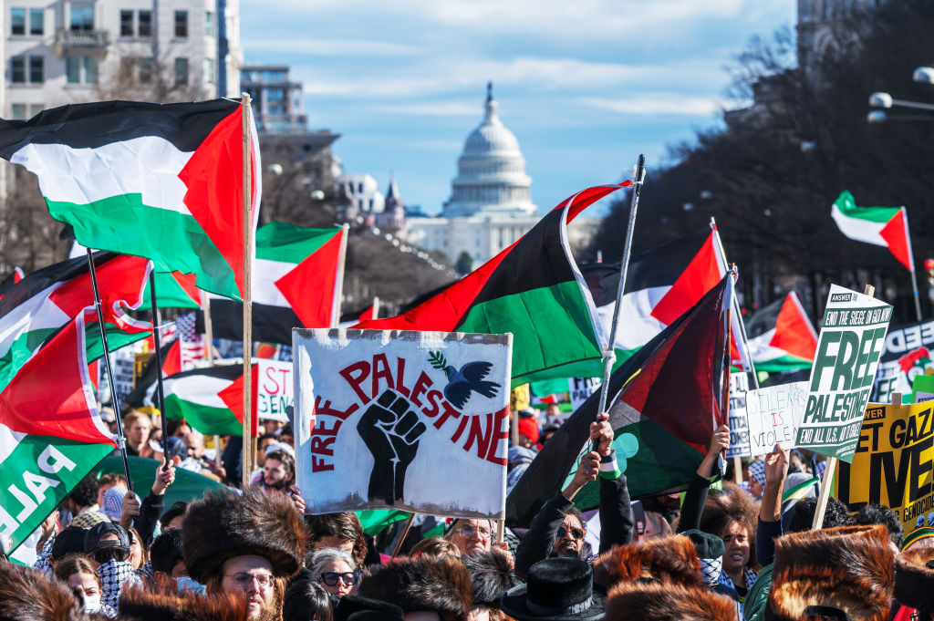 WASHINGTON, DC - JANUARY 13: Demonstrators gather for a pro-Pal