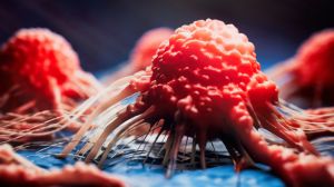 Cancer cell view