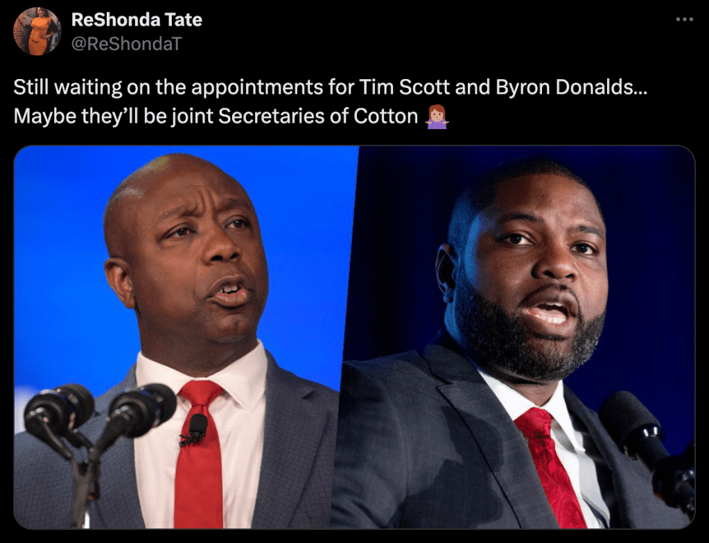 social media posts about Trump cabinet picks