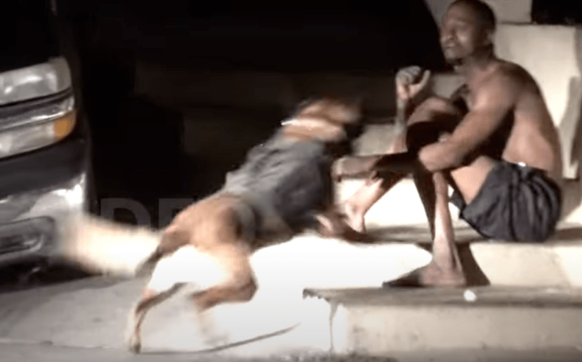 Marcus Evans, black man attacked by San Diego PD