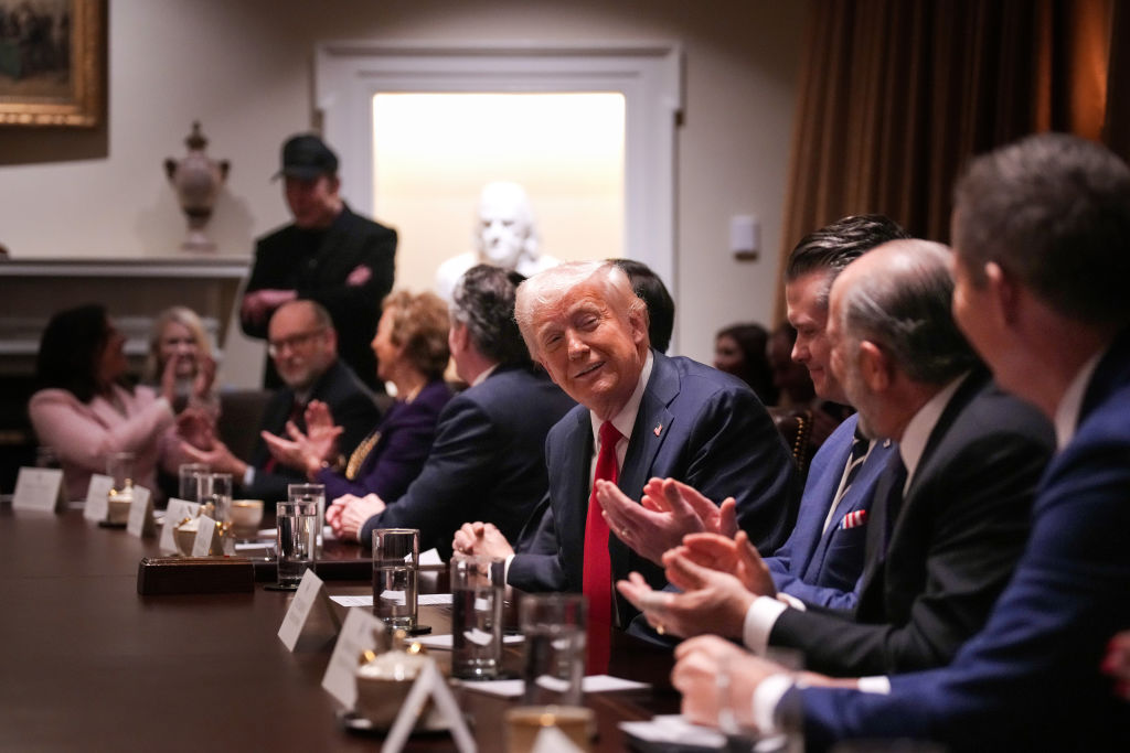 Joined By Elon Musk, Trump Holds First Cabinet Meeting Of His Second Term