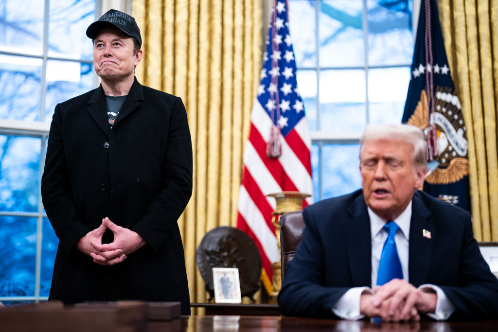 Elon Musk, Donald Trump, DOGE, Black, federal, workers,