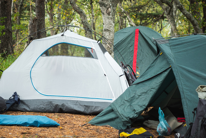 Three tents, two green and a gray one, are pitched in the woods. A blue sleeping bag lies in front of the green tent. Tent camp in a mountain hike.