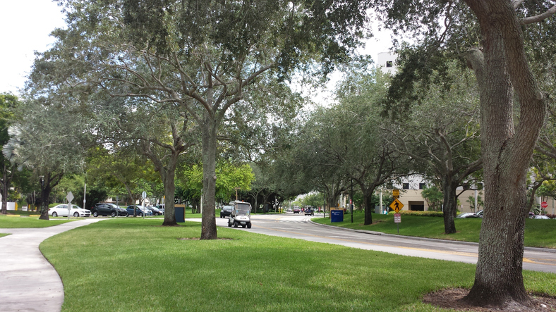 Florida International University Campus
