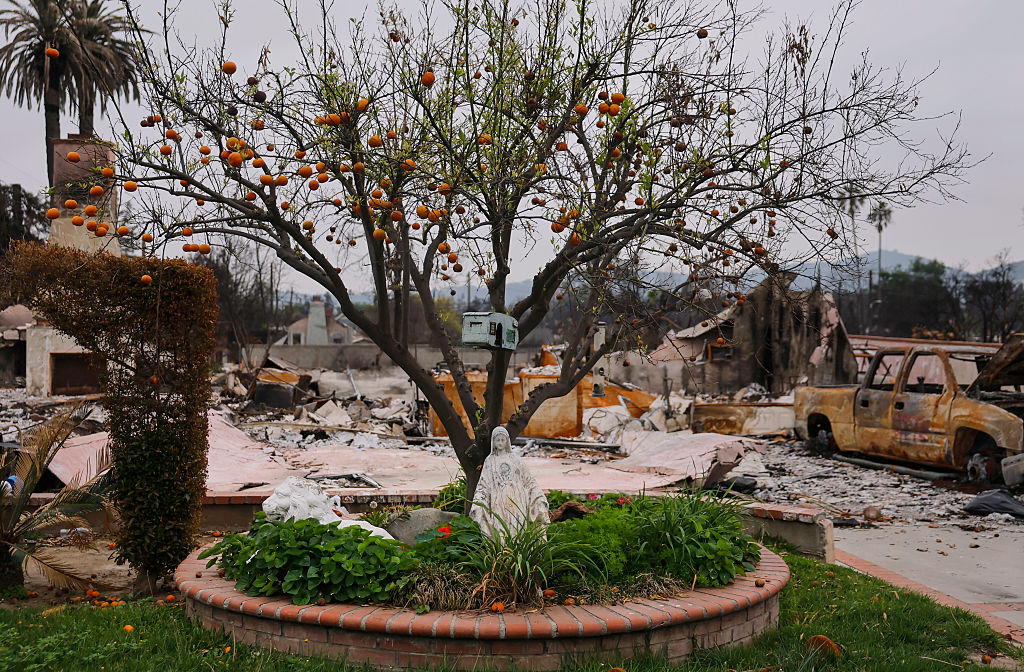 Los Angeles Communities Face Long Road To Recovery After Devastating Wildfires