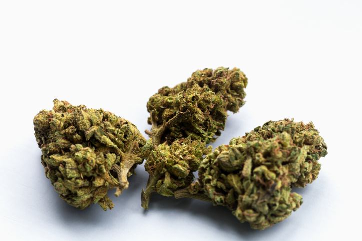 Three dried cannabis buds on white background