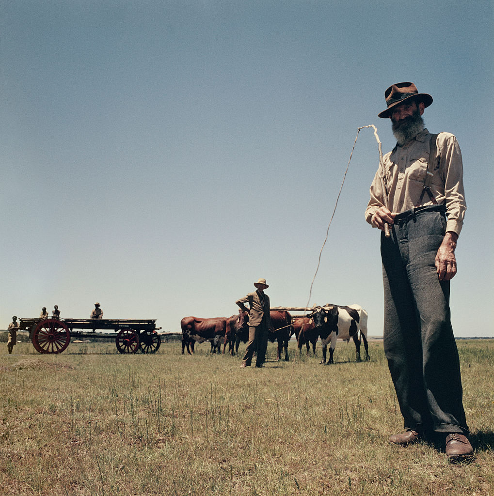 Afrikaners, South Africa