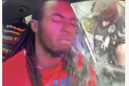 William McNeil Jr., black man punched by jacksonville, florida cops