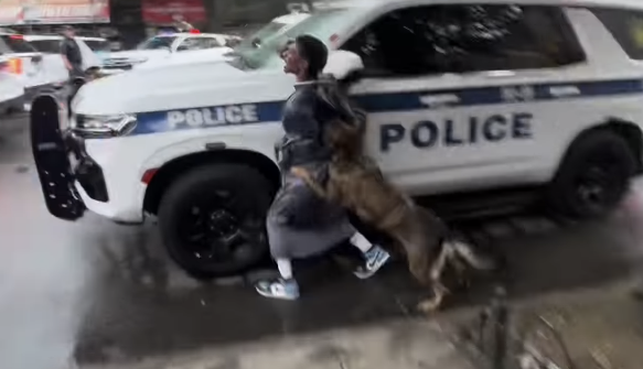 Suffolk County police dog bites black man