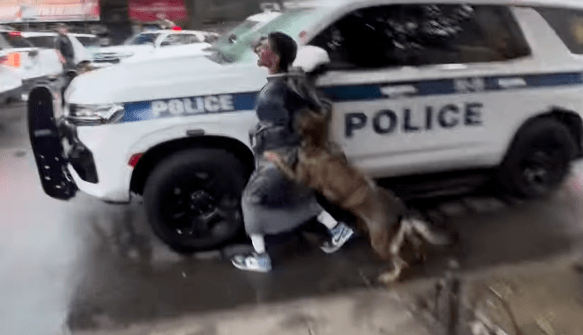 Suffolk County police dog bites black man