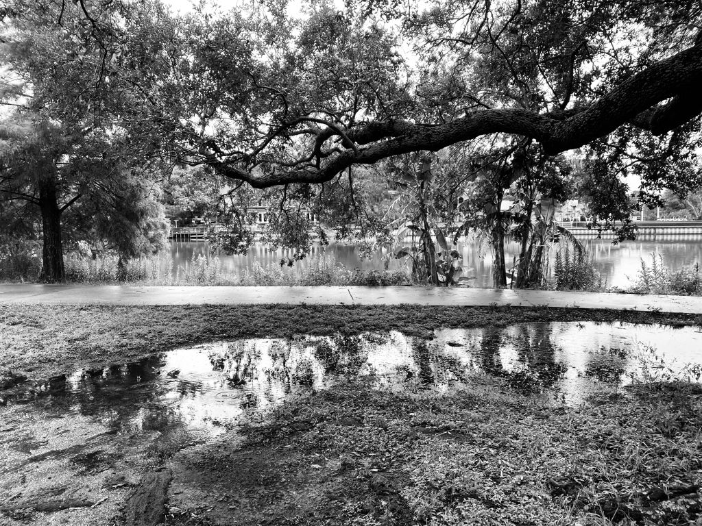 Photos from Melanie Dione